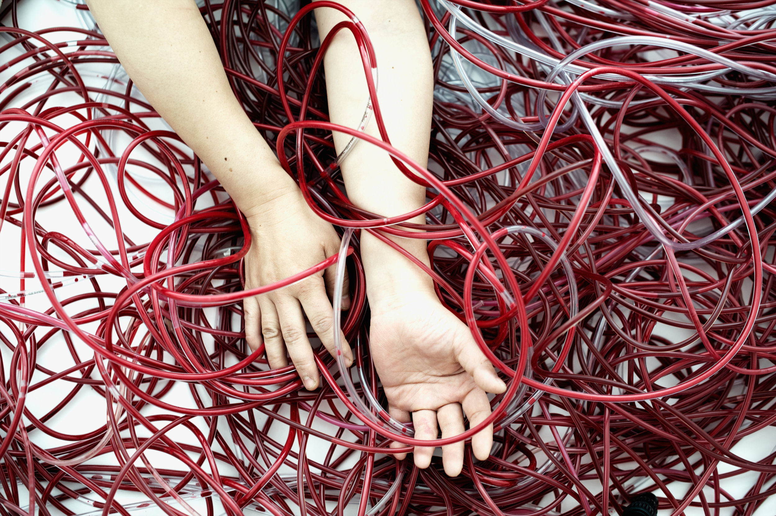 CHIHARU SHIOTA–塩田千春